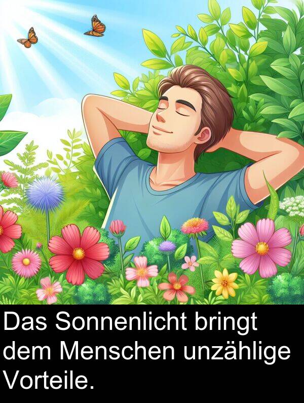 Sonnenlicht: Das Sonnenlicht bringt dem Menschen unzählige Vorteile.