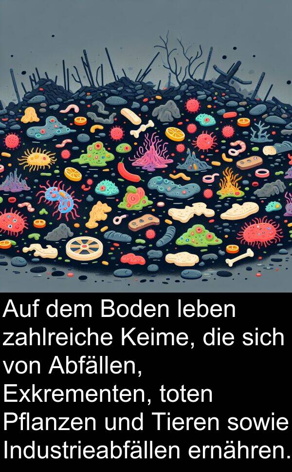 Industrieabfällen: Auf dem Boden leben zahlreiche Keime, die sich von Abfällen, Exkrementen, toten Pflanzen und Tieren sowie Industrieabfällen ernähren.