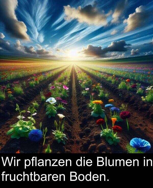 fruchtbaren: Wir pflanzen die Blumen in fruchtbaren Boden.
