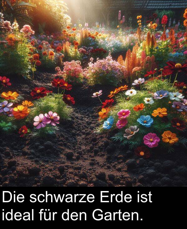 ideal: Die schwarze Erde ist ideal für den Garten.