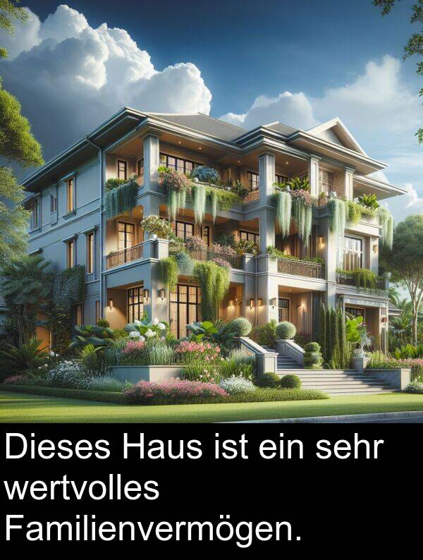 Familienvermögen: Dieses Haus ist ein sehr wertvolles Familienvermögen.