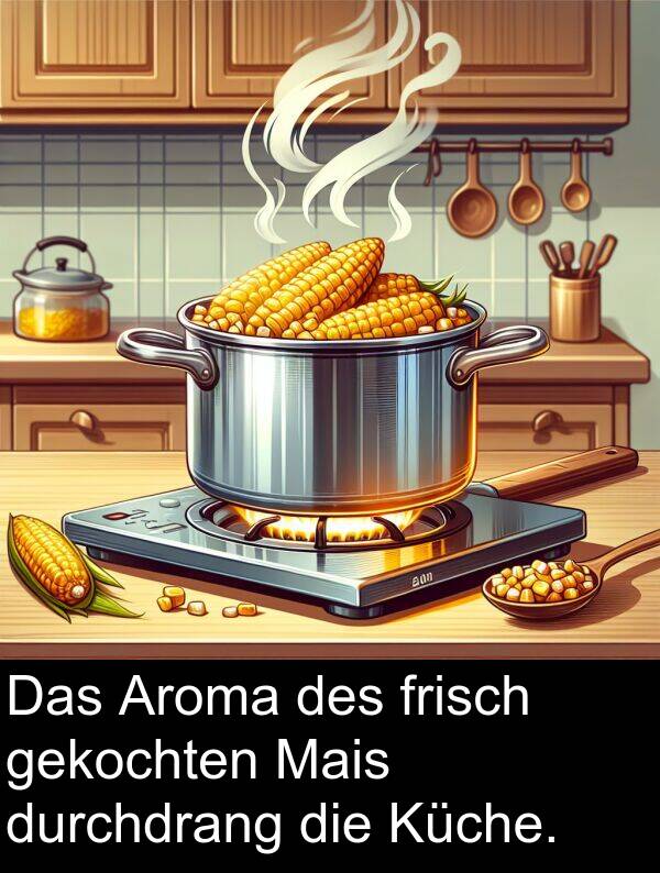 frisch: Das Aroma des frisch gekochten Mais durchdrang die Küche.