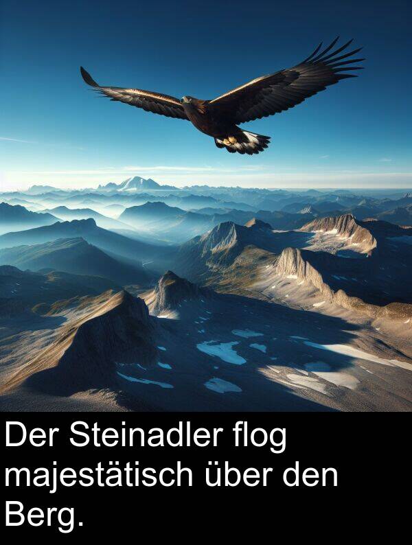 den: Der Steinadler flog majestätisch über den Berg.