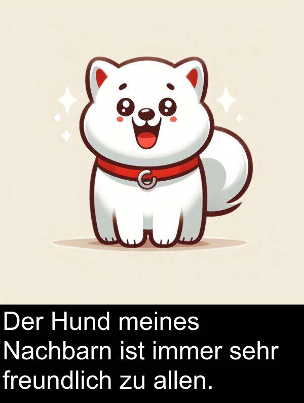 Hund: Der Hund meines Nachbarn ist immer sehr freundlich zu allen.