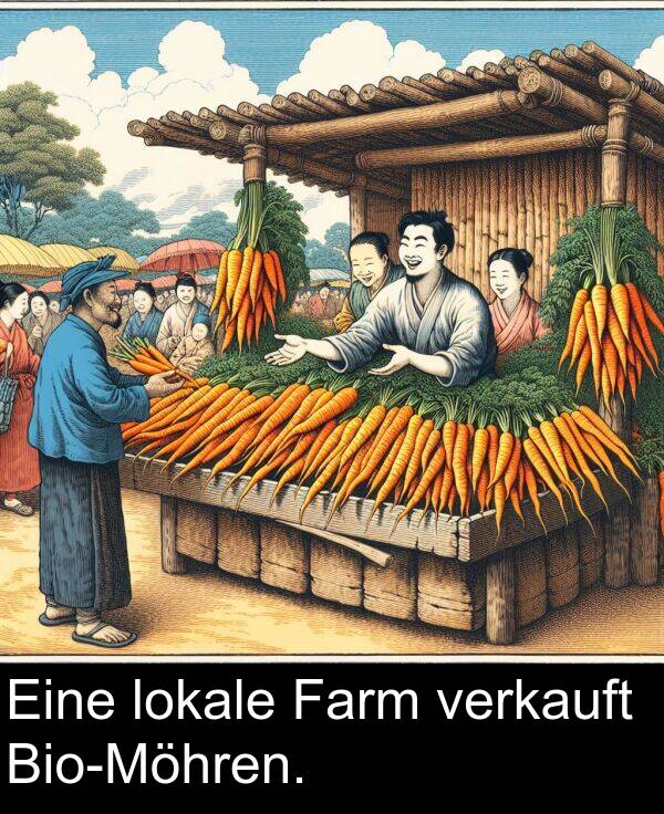 Farm: Eine lokale Farm verkauft Bio-Möhren.