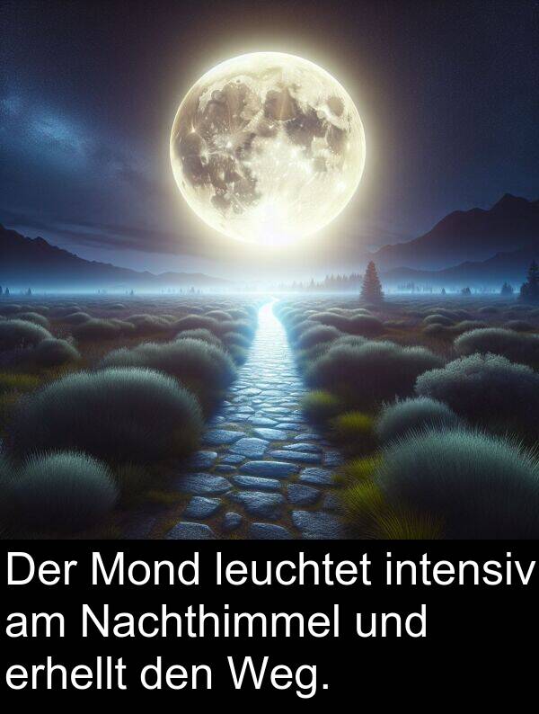 Nachthimmel: Der Mond leuchtet intensiv am Nachthimmel und erhellt den Weg.