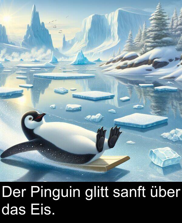 das: Der Pinguin glitt sanft über das Eis.