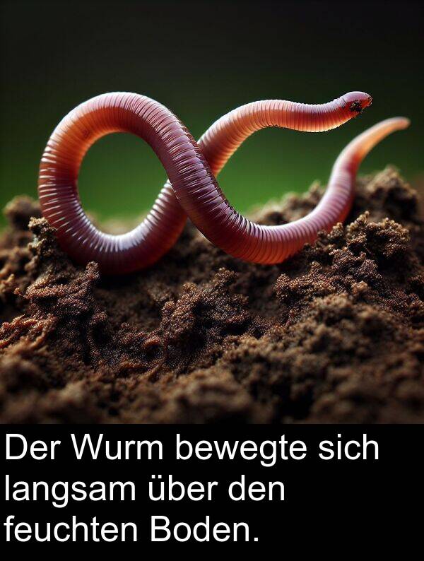 über: Der Wurm bewegte sich langsam über den feuchten Boden.