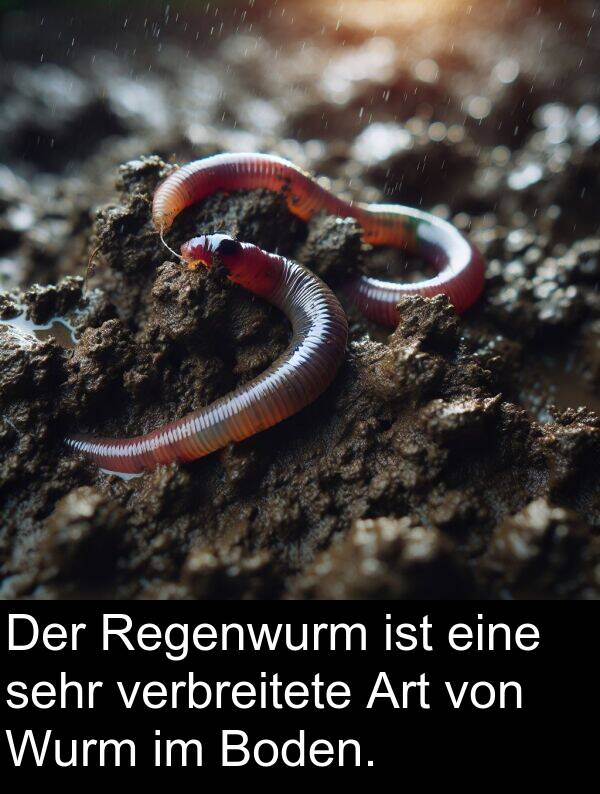 Regenwurm: Der Regenwurm ist eine sehr verbreitete Art von Wurm im Boden.