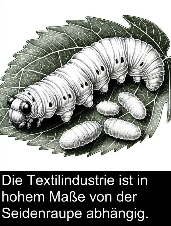 abhängig: Die Textilindustrie ist in hohem Maße von der Seidenraupe abhängig.