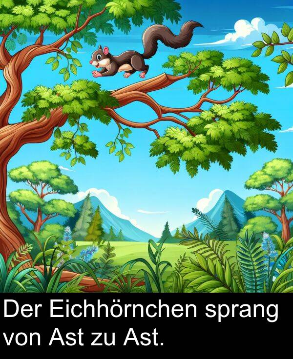 Ast: Der Eichhörnchen sprang von Ast zu Ast.