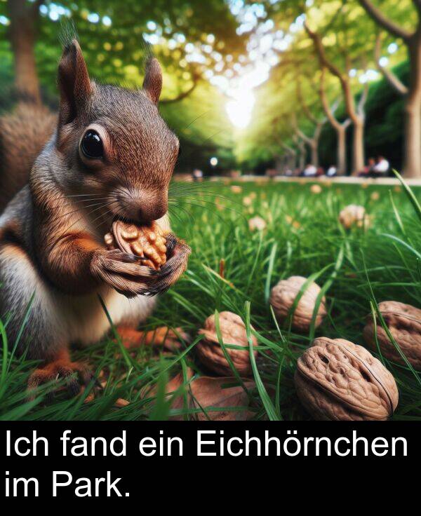 fand: Ich fand ein Eichhörnchen im Park.