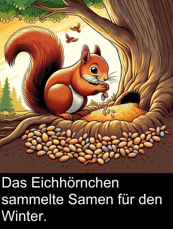 den: Das Eichhörnchen sammelte Samen für den Winter.