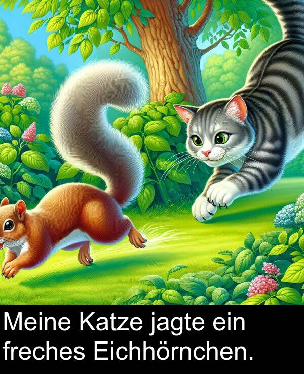 jagte: Meine Katze jagte ein freches Eichhörnchen.