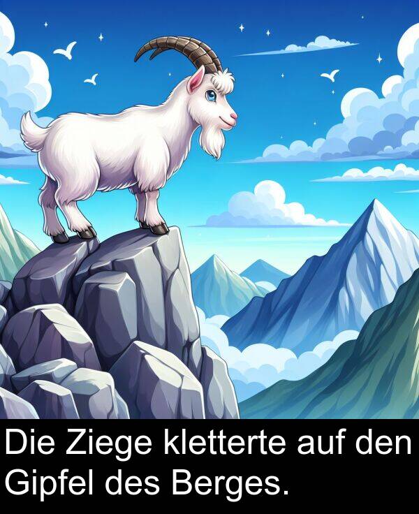 den: Die Ziege kletterte auf den Gipfel des Berges.