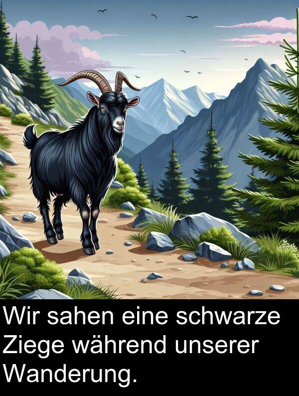 während: Wir sahen eine schwarze Ziege während unserer Wanderung.