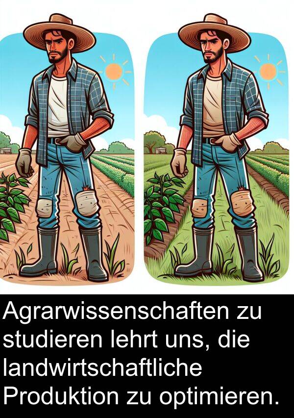 Produktion: Agrarwissenschaften zu studieren lehrt uns, die landwirtschaftliche Produktion zu optimieren.