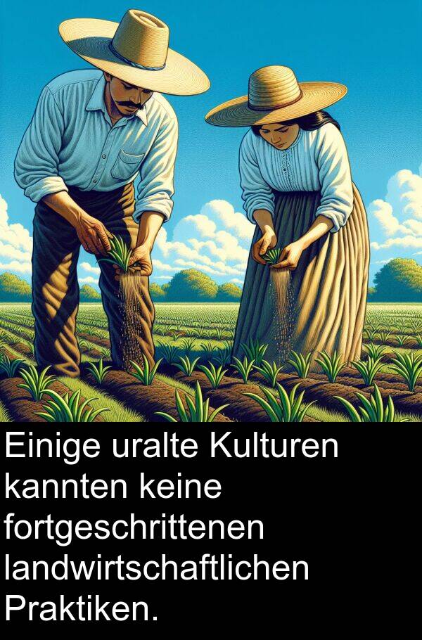 kannten: Einige uralte Kulturen kannten keine fortgeschrittenen landwirtschaftlichen Praktiken.