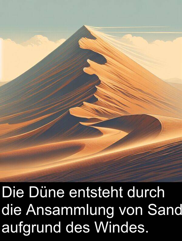 Windes: Die Düne entsteht durch die Ansammlung von Sand aufgrund des Windes.