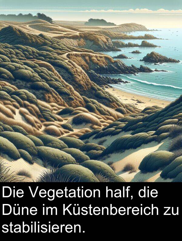 Düne: Die Vegetation half, die Düne im Küstenbereich zu stabilisieren.