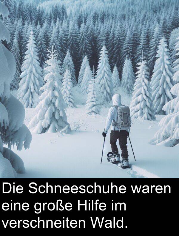 Wald: Die Schneeschuhe waren eine große Hilfe im verschneiten Wald.