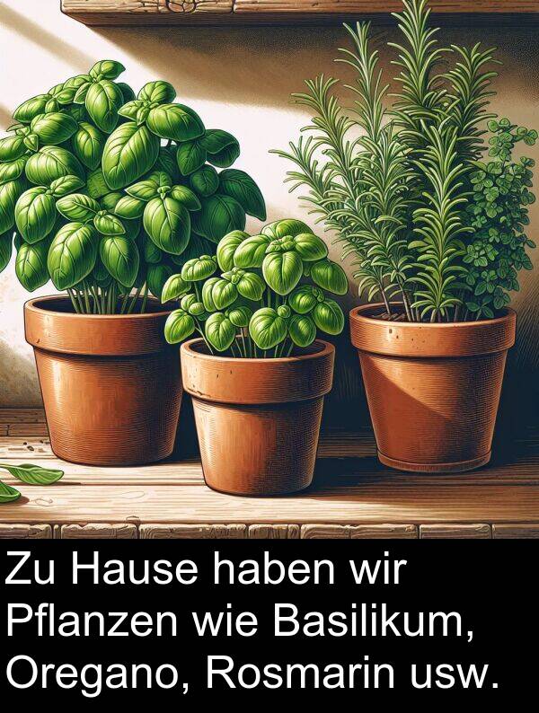 wie: Zu Hause haben wir Pflanzen wie Basilikum, Oregano, Rosmarin usw.