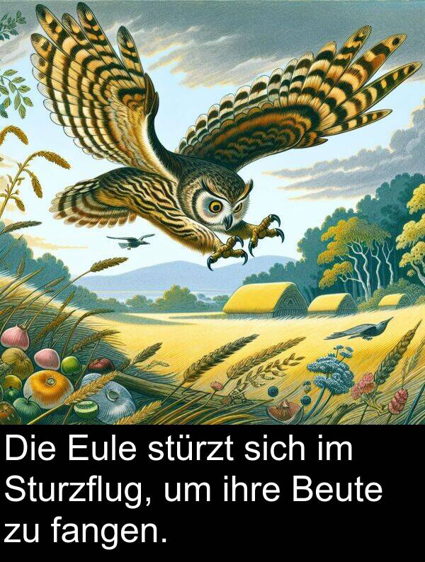 fangen: Die Eule stürzt sich im Sturzflug, um ihre Beute zu fangen.