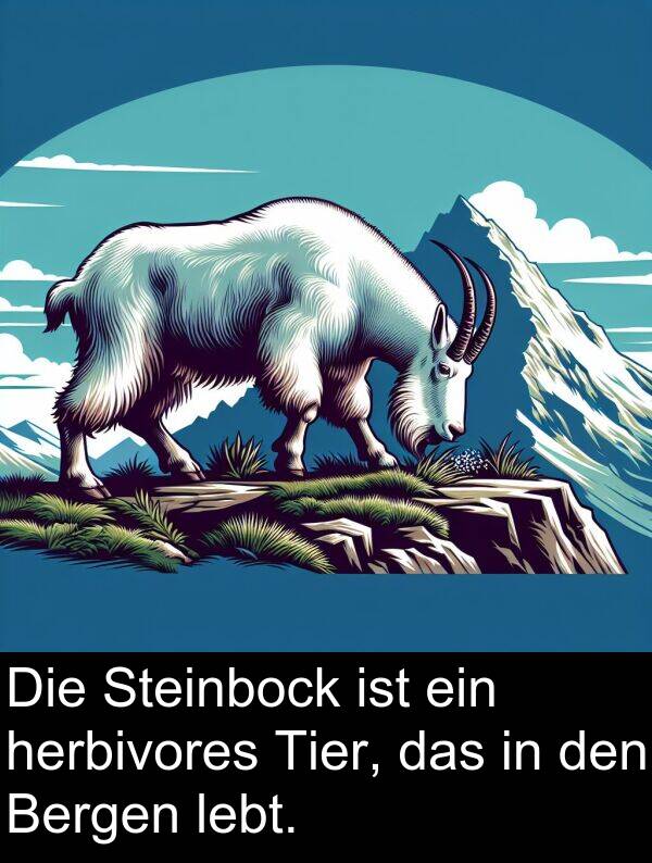 Steinbock: Die Steinbock ist ein herbivores Tier, das in den Bergen lebt.