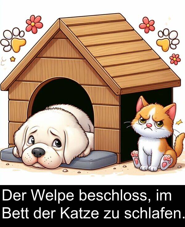beschloss: Der Welpe beschloss, im Bett der Katze zu schlafen.
