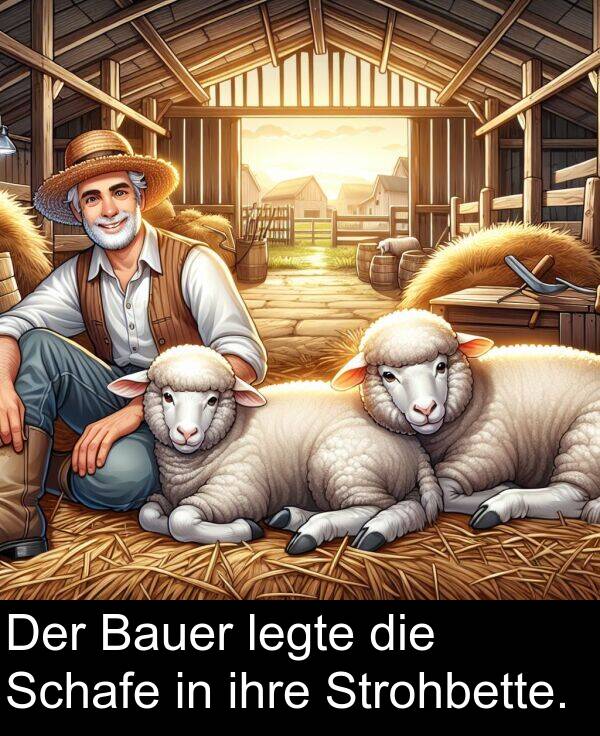 ihre: Der Bauer legte die Schafe in ihre Strohbette.