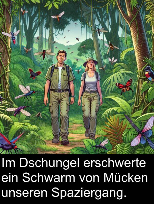 Dschungel: Im Dschungel erschwerte ein Schwarm von Mücken unseren Spaziergang.