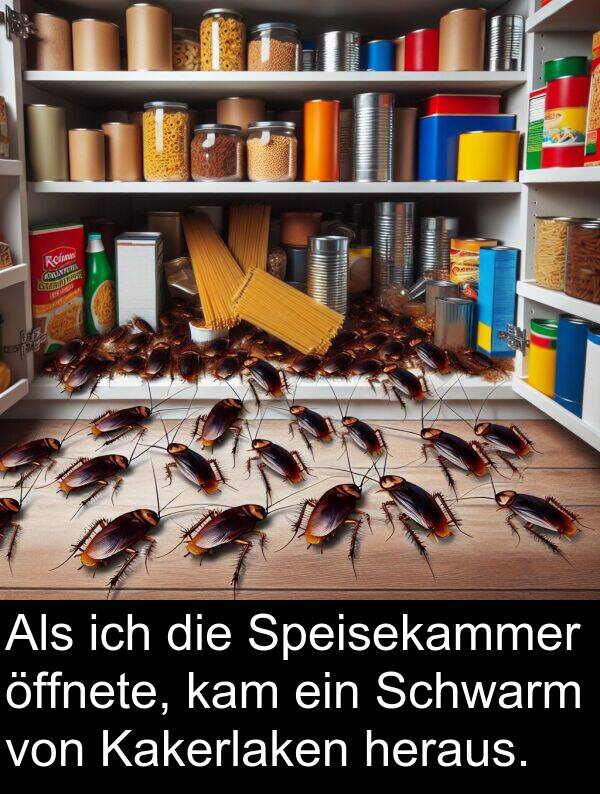 Speisekammer: Als ich die Speisekammer öffnete, kam ein Schwarm von Kakerlaken heraus.