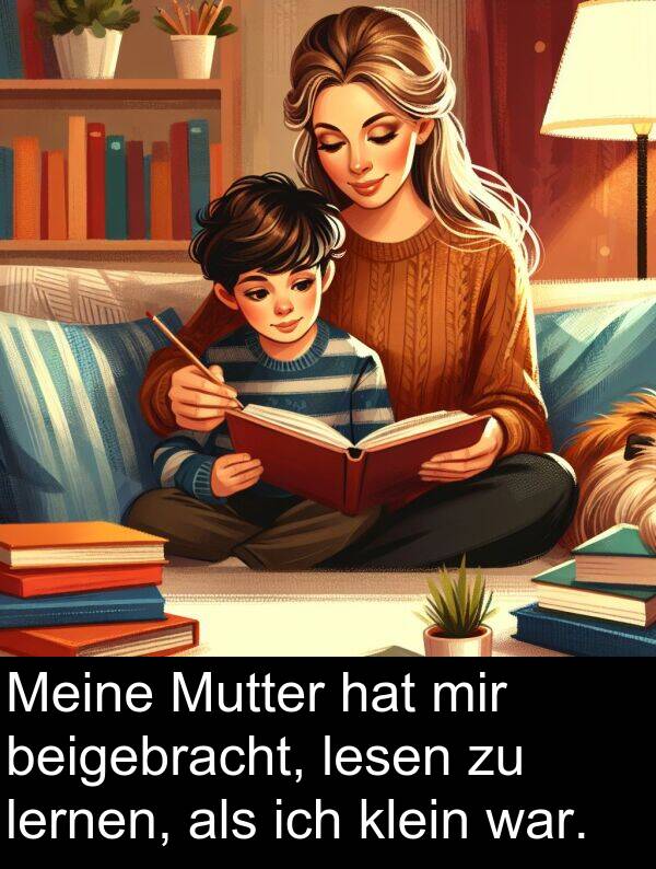 lernen: Meine Mutter hat mir beigebracht, lesen zu lernen, als ich klein war.