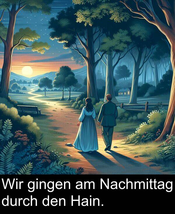 Wir: Wir gingen am Nachmittag durch den Hain.