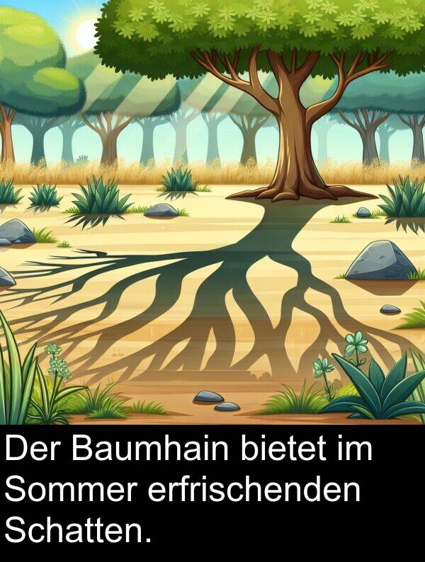 Baumhain: Der Baumhain bietet im Sommer erfrischenden Schatten.