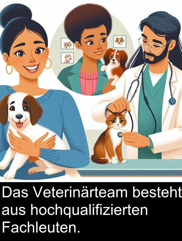 Fachleuten: Das Veterinärteam besteht aus hochqualifizierten Fachleuten.