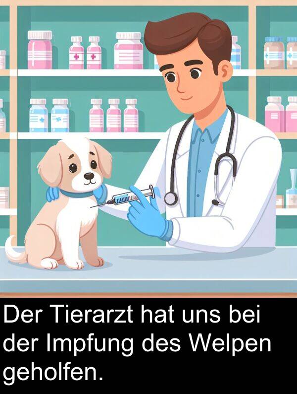 uns: Der Tierarzt hat uns bei der Impfung des Welpen geholfen.