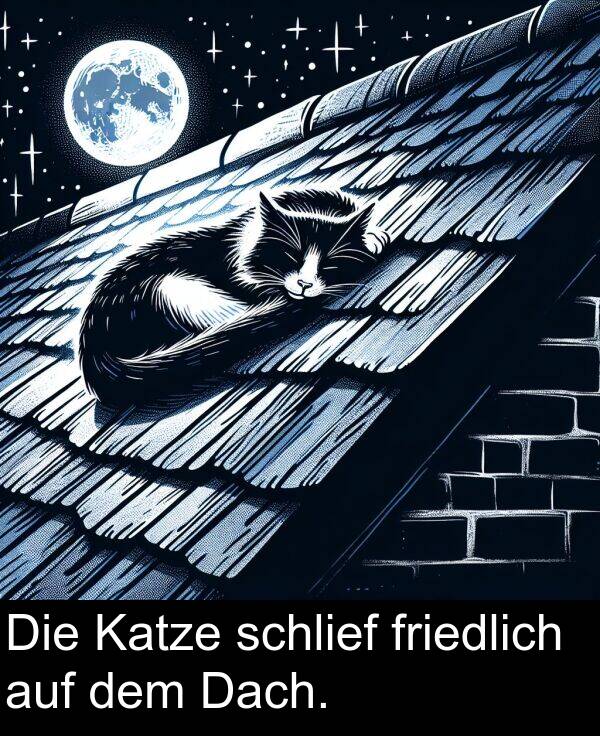 Dach: Die Katze schlief friedlich auf dem Dach.