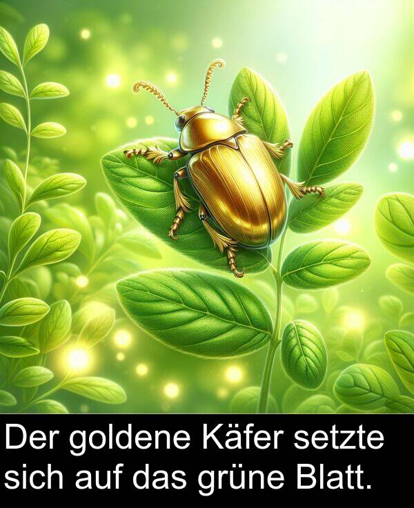 Käfer: Der goldene Käfer setzte sich auf das grüne Blatt.