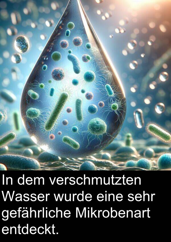 Mikrobenart: In dem verschmutzten Wasser wurde eine sehr gefährliche Mikrobenart entdeckt.