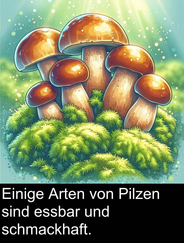 Pilzen: Einige Arten von Pilzen sind essbar und schmackhaft.