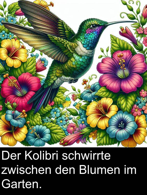 Blumen: Der Kolibri schwirrte zwischen den Blumen im Garten.