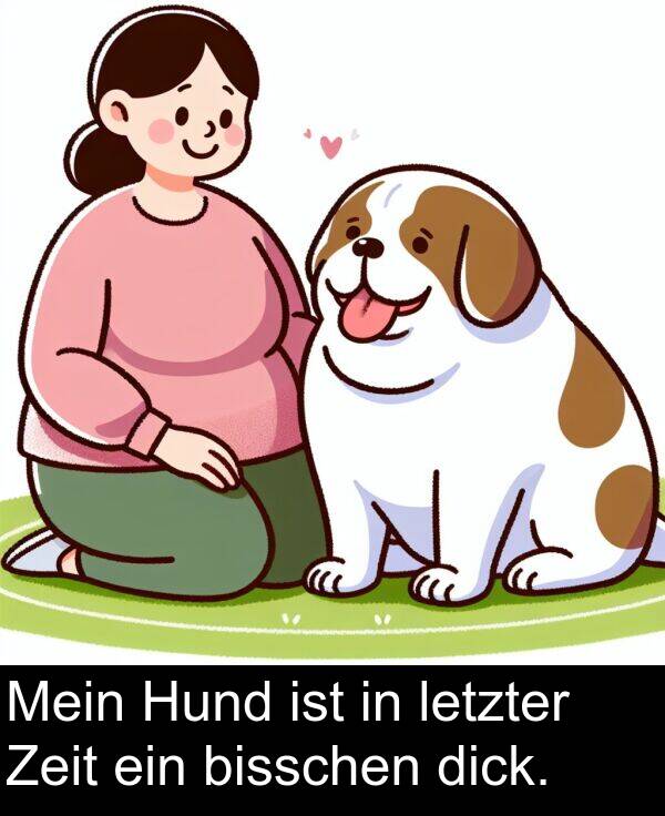 Zeit: Mein Hund ist in letzter Zeit ein bisschen dick.