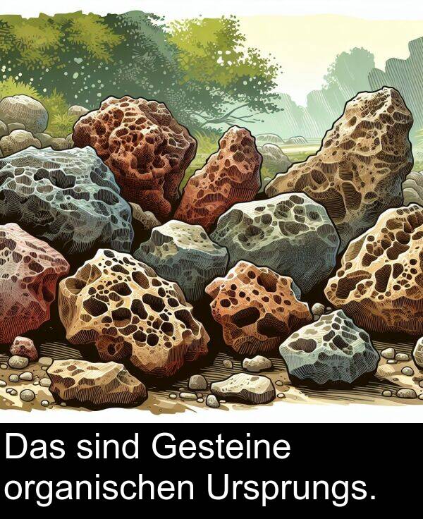 Das: Das sind Gesteine organischen Ursprungs.