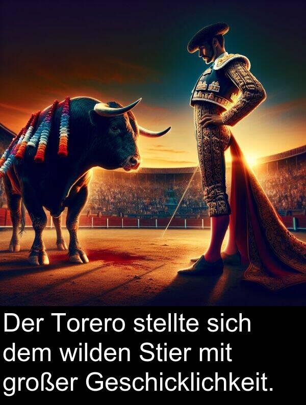 wilden: Der Torero stellte sich dem wilden Stier mit großer Geschicklichkeit.
