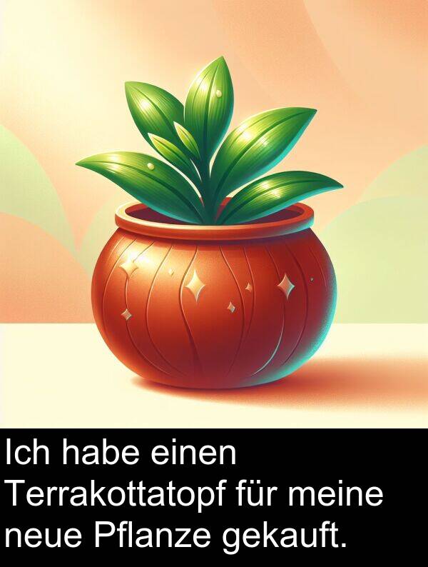 neue: Ich habe einen Terrakottatopf für meine neue Pflanze gekauft.