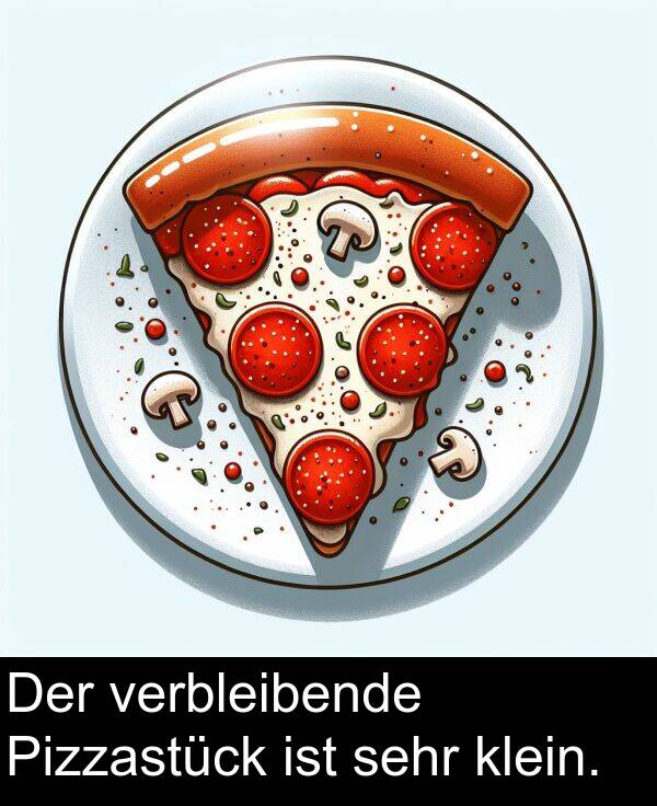 verbleibende: Der verbleibende Pizzastück ist sehr klein.