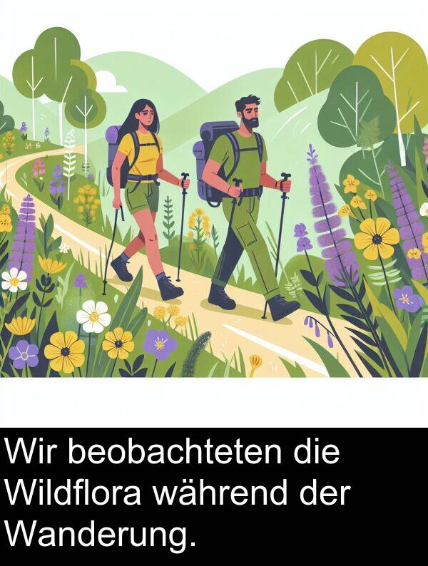während: Wir beobachteten die Wildflora während der Wanderung.