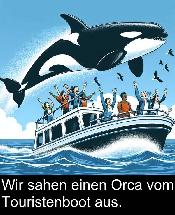 Wir: Wir sahen einen Orca vom Touristenboot aus.