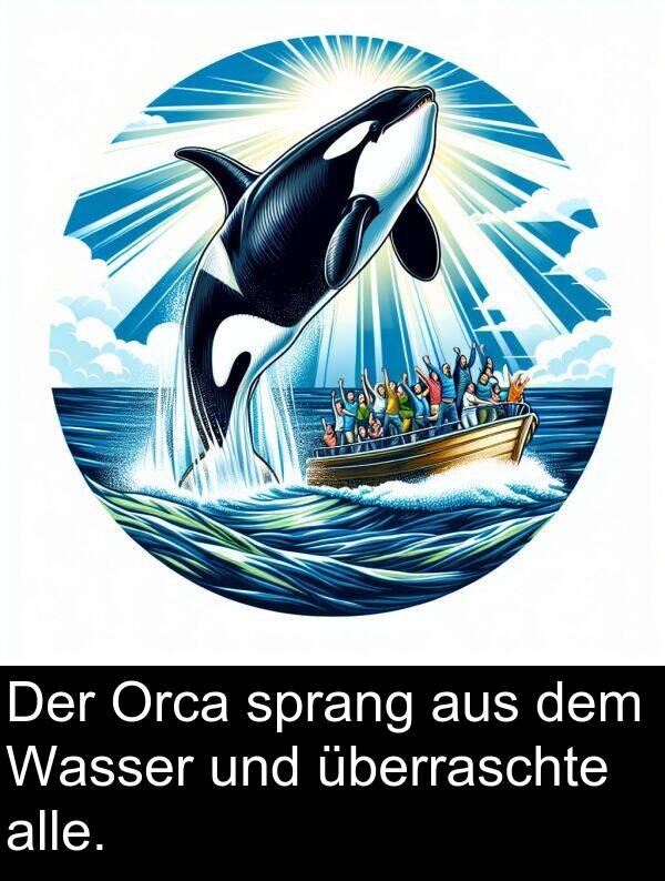 dem: Der Orca sprang aus dem Wasser und überraschte alle.